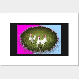 chickens / Swiss Artwork Photography Posters and Art